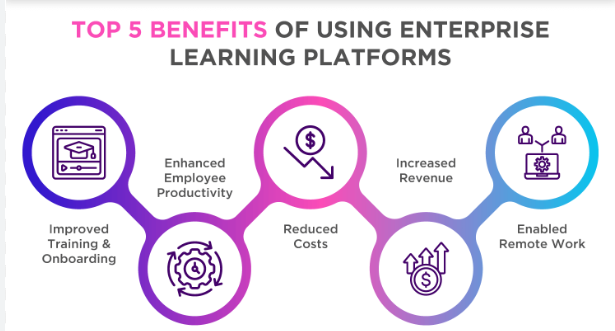 Why Your Business Needs Enterprise