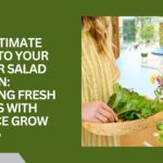 The Ultimate Guide to Coop Sleep Goods: Why the Eden and Original Pillows Are a Game-Changer for Your Sleep
